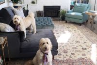Inside Our Sectional: Interior Define Living Room Guide