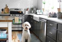 Designing with Dash & Albert Rugs: Tips, Styles, and Placement