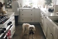 Life Lately: Behind the Scenes of Our Wild and Crazy Home