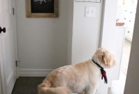 The Chalkboard’s Story: How a Classroom Icon Shaped Learning