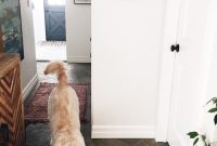 Complete Home Cleaning Guide: Room-by-Room Checklist and Tips