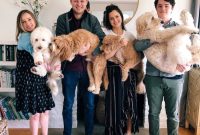 Easter with Four Doodles: Spring Family Fun and Photos