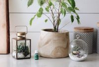 DIY Succulent Terrarium Reed Diffuser: Step-by-Step Guide