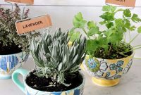 Grow an Indoor Herb Garden in a Coffee Mug: Simple Steps