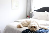 Home Style Saturdays: Seasonal Decorating Ideas and Style Tips