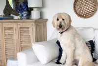 Small-Space Styling: Seasonal Storage Ideas for Compact Homes