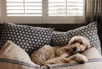 Cozy Fall Weekend Ideas for Home-Style Saturdays