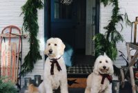 Charming Christmas Decoration Ideas for a Beautiful Holiday
