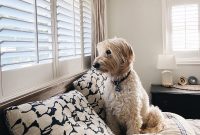 Home Tours & Makeovers: Weekend Home Style Inspiration
