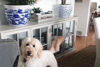 Detox Your Home: Daily Routines That Improve Wellness (Thyroid Update)