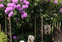 Spring Garden Ideas for Your Yard: Planting Tips & Layouts