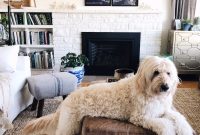 What I’ve Been Up To and My Favorite Pottery Barn Finds on Sale
