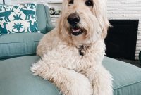 Sunny Weekend: Home-Style Saturday Brunch & Activities