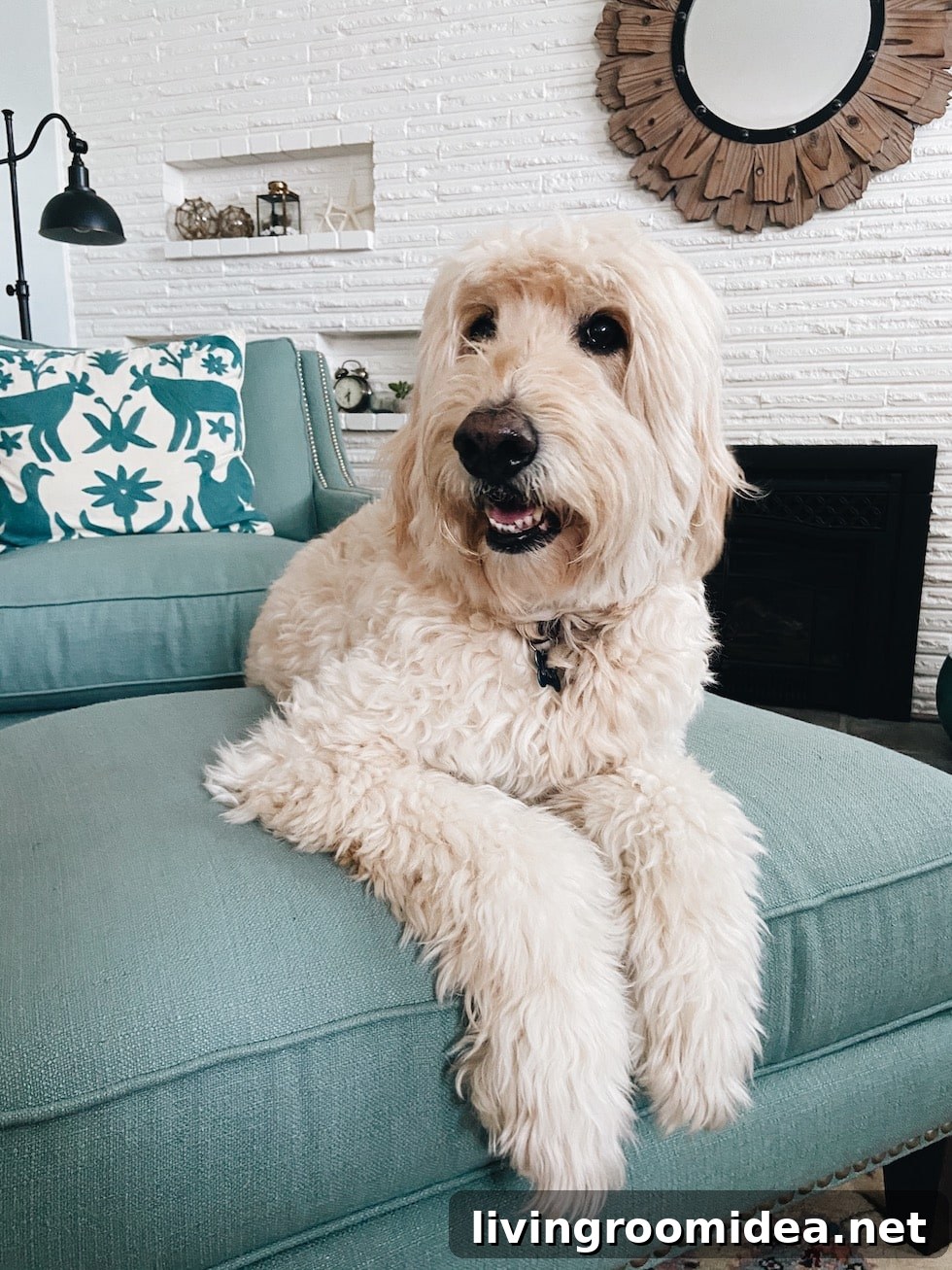 featured 125900