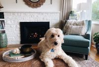 6 Living Room Decorating Tips to Transform Your Space