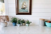 Kitchen Teacup Garden: Grow Edible Flowers Indoors