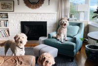 Home Life Update: Everyday Moments and Scenes Around Our House