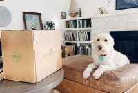 10 Essential Non-Toxic Young Living Products You Should Try