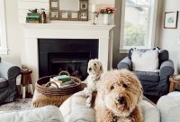 Six Months Living in the New Beach House