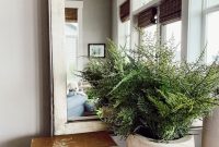 Unkillable Plants: How to Keep Hardy Houseplants Thriving