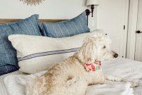 Transform Your Laundry Routine for Faster, Fresher Results