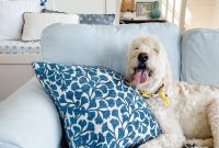 Why I Embrace Life as a Proud Homebody