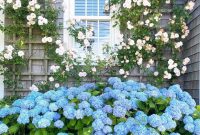 Climbing Roses: Sunday Strolls and Garden Notes