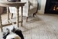 Meet Finnegan: A Charming Story of Friendship and Adventure
