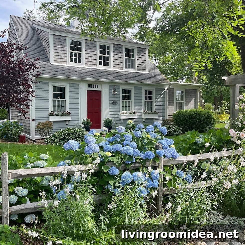 featured 176268