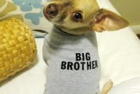 Oh Brother or Sister? Navigating Sibling Relationships and Rivalry