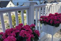 Coastal Cottage Amazon Finds We’re Loving Now