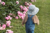 Peonies in the Kitchen: Visiting a Charming Peony Farm Adventure
