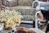 Summer Decor 2026: Shop Looks and Mood Boards