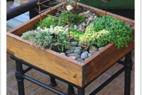 Miniature Tabletop Fairy Garden with Steppable Paths