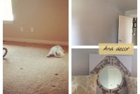 Redecorating and Reorganizing: Fresh Ideas to Transform Your Space