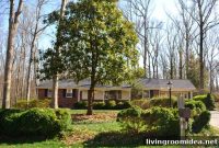 Limb Pruning Trees to Restore Your Home’s View