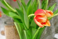 How to Make a Stunning Tulip Bouquet at Home