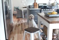 Modern Farmhouse Kitchen Bar Stools: Stylish Picks for Your Counter