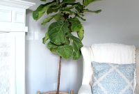 Fiddle Leaf Fig Failure Confession: What I Learned Caring for My Plant
