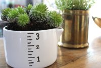 Create a 5-Minute Kitchen Succulent Garden: Quick Indoor Plan