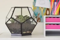 How to Build a Beautiful Terrarium at Home
