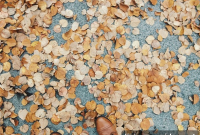 Cozy Fall Nesting Rituals: Puttering Ideas for Your Home