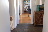 Entryway and Hallway Inspiration: Stylish Ideas and Progress Photos