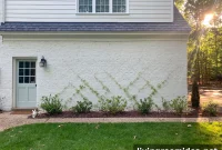Build a DIY Garden Trellis: Step-by-Step Guide for Any Yard
