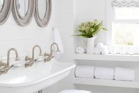 Colored Powder-Coated Trough Sinks: Durable Styles & Finishes