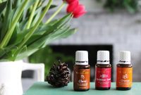 Cozy Fall Nest: Essential Oil Home Scents for Autumn
