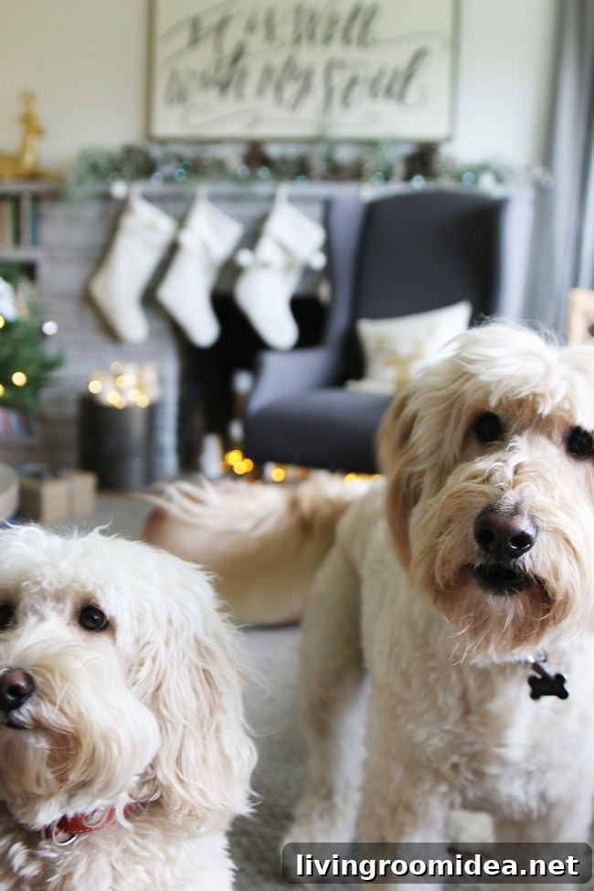 Jack and Lily Christmas - Doodles at Home - The Inspired Room