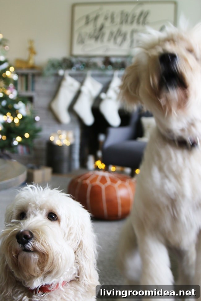Jack and Lily Christmas - Doodles at Home - The Inspired Room