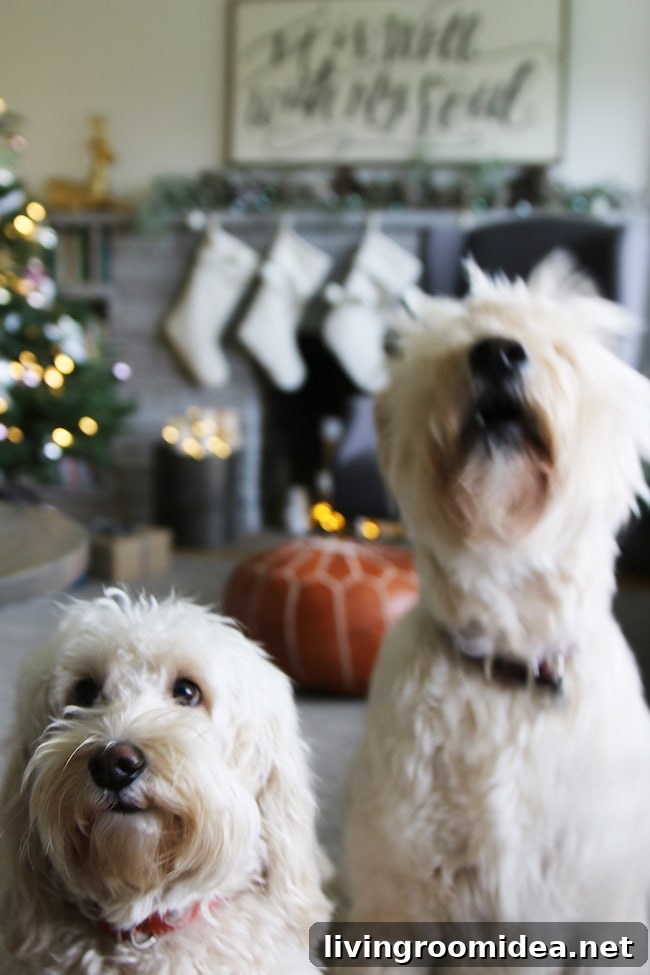 Jack and Lily Christmas - Doodles at Home - The Inspired Room