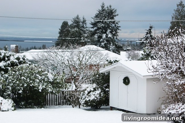 Snow Day Adventures and Winter Fairy Tales 2 img 100376 1 1